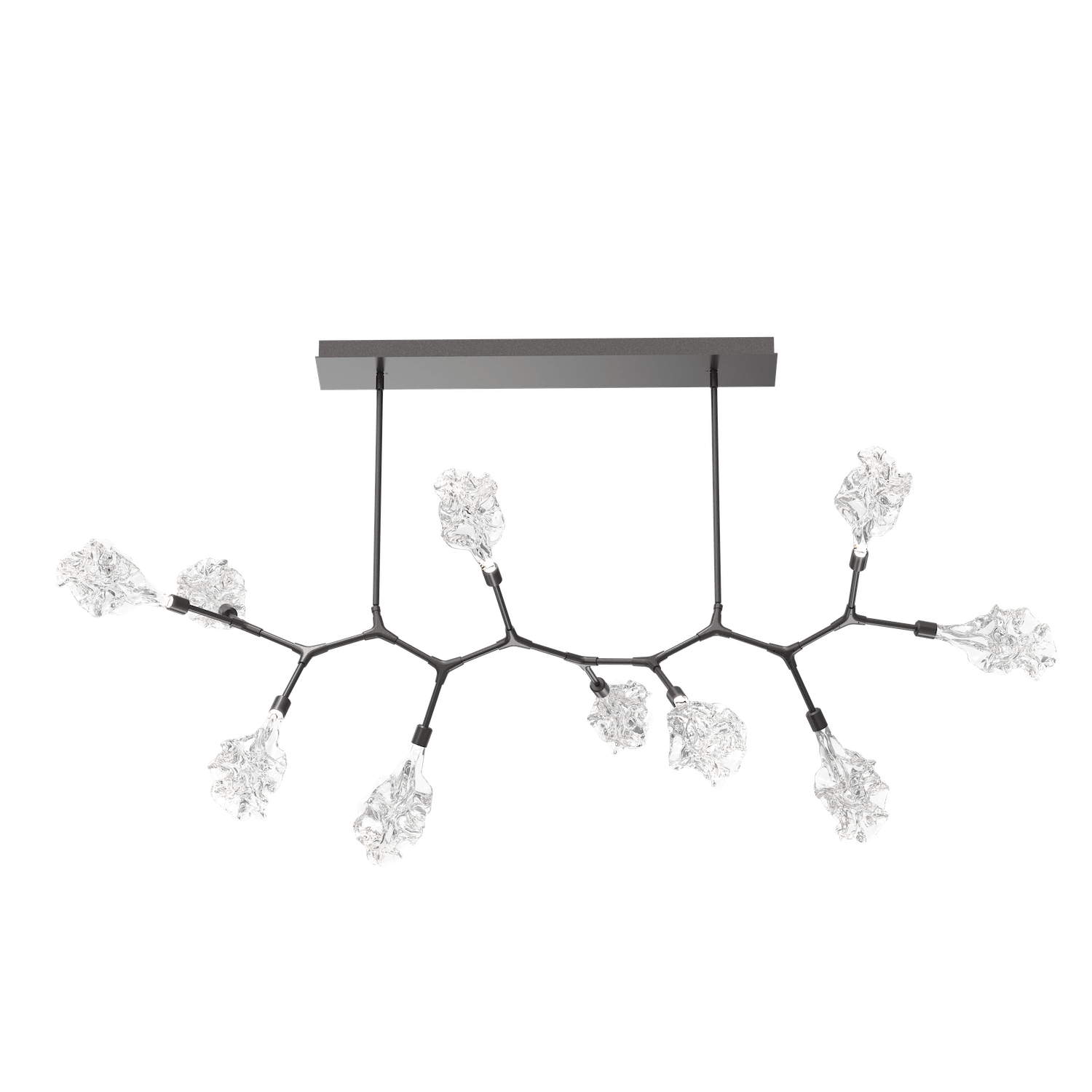 PLB0059-BC-GP-Hammerton-Studio-Blossom-10-light-modern-branch-chandelier-with-graphite-finish-and-clear-blossom-shaped-blown-glass-shades-and-LED-lamping